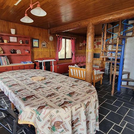 Chalet Spacieux 18 Pers. Avec Jardin, 7 Chambres, Cheminees, Animaux Admis - Saint-Michel-De-Chaillol - Fr-1-393-82 外观 照片