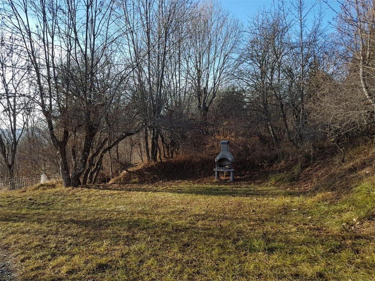 Chalet Spacieux 18 Pers. Avec Jardin, 7 Chambres, Cheminees, Animaux Admis - Saint-Michel-De-Chaillol - Fr-1-393-82 外观 照片